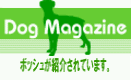 ボッシュドッグフード紹介